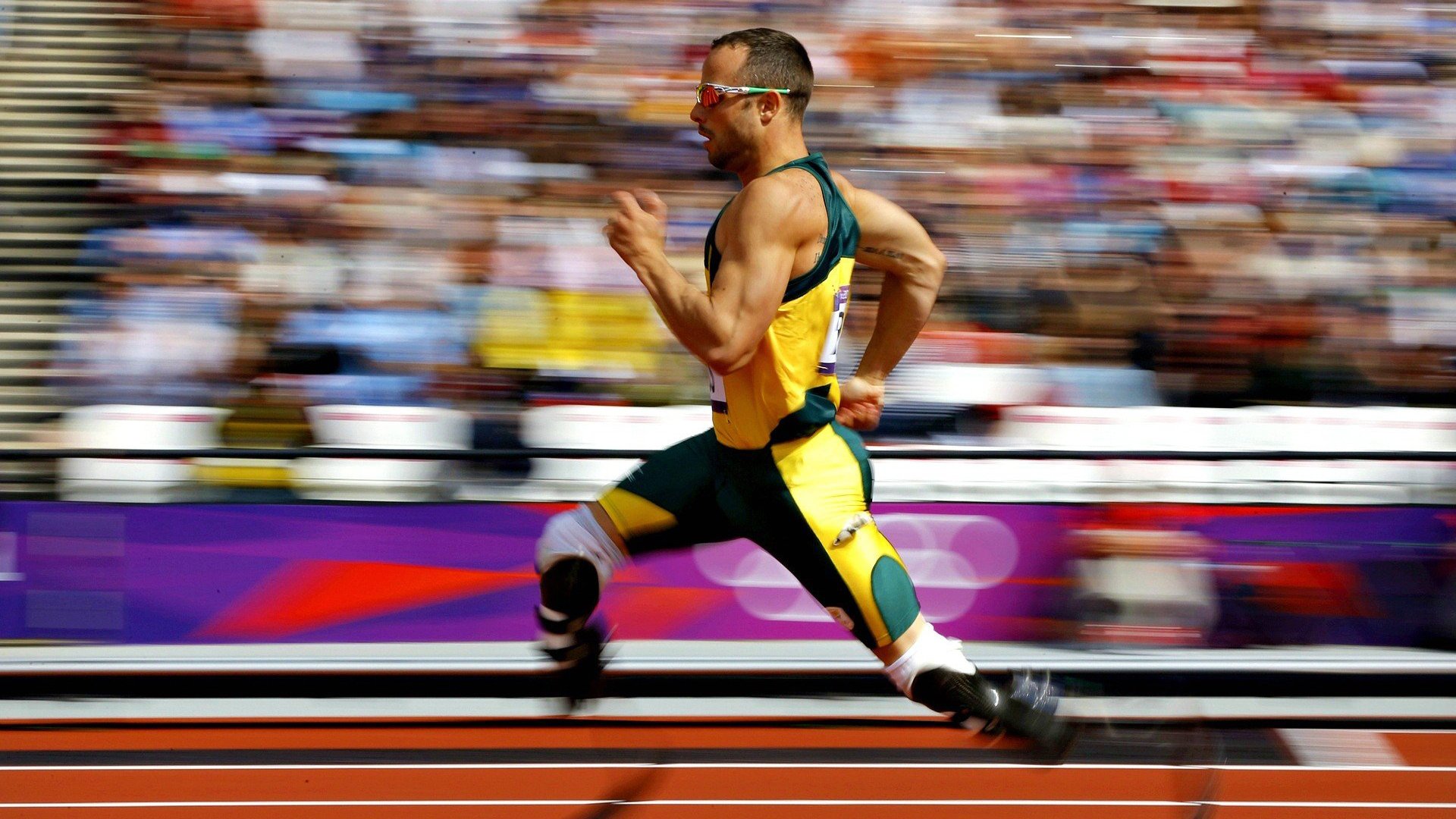 场馆智能化建设实现高效管理,场馆智能化建设实现高效管理的意义